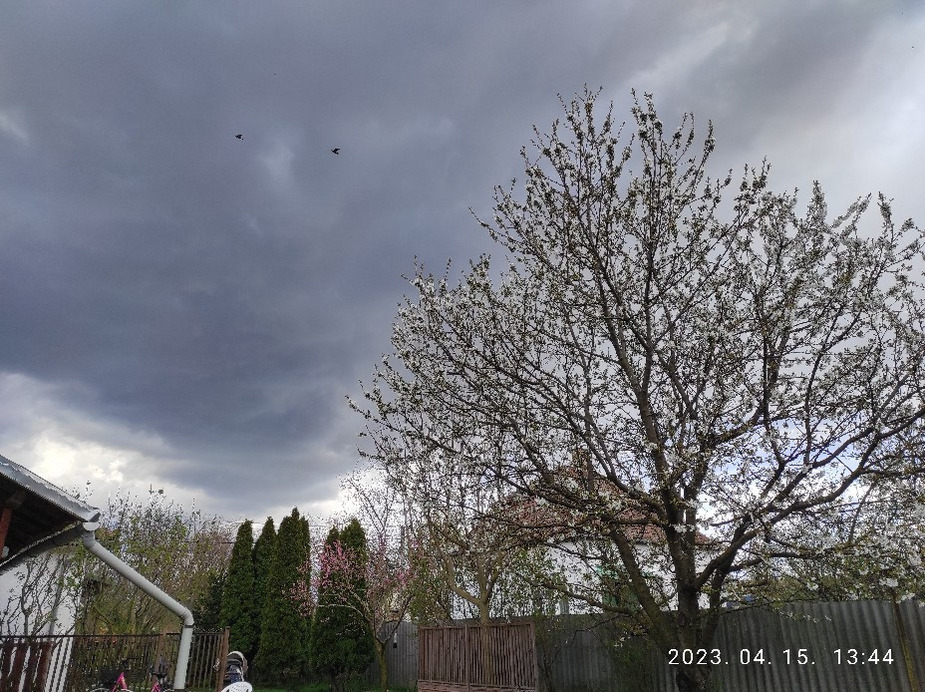 Észlelési fényképek