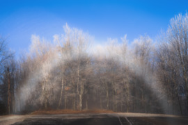 Ösvény a köd kapujában…