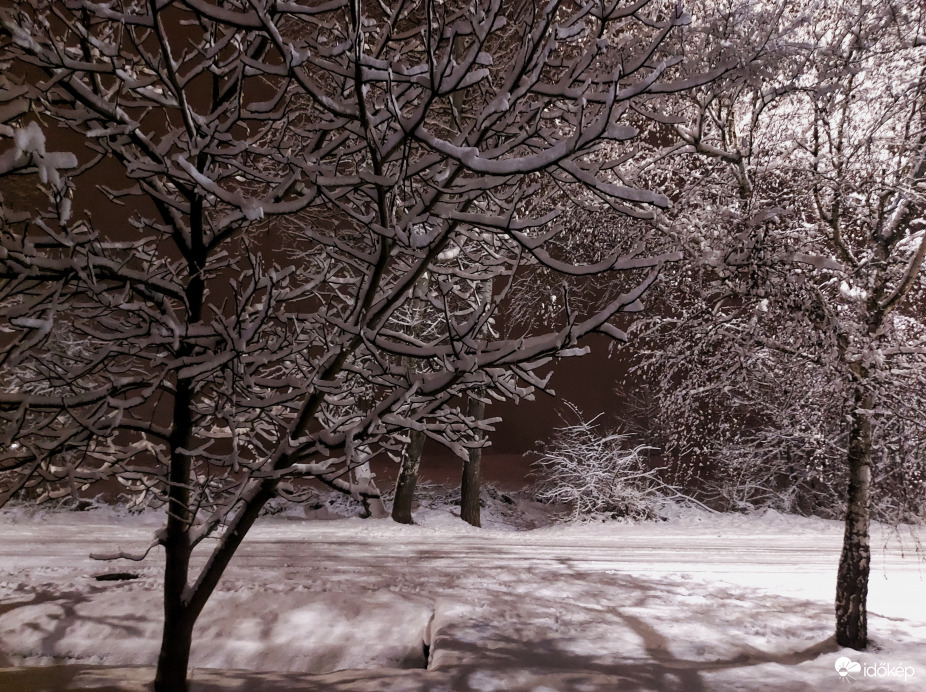 Észlelési fényképek