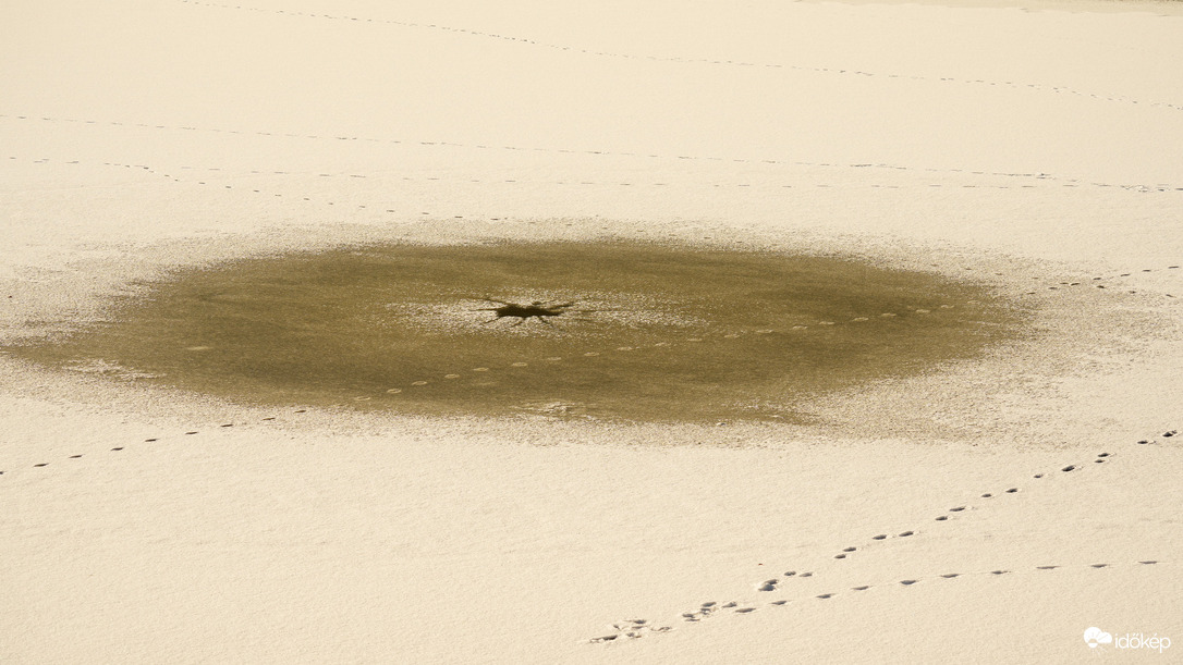 Jégpókok, tavi csillagok 4