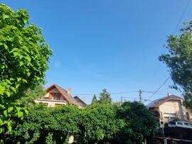 Dabas