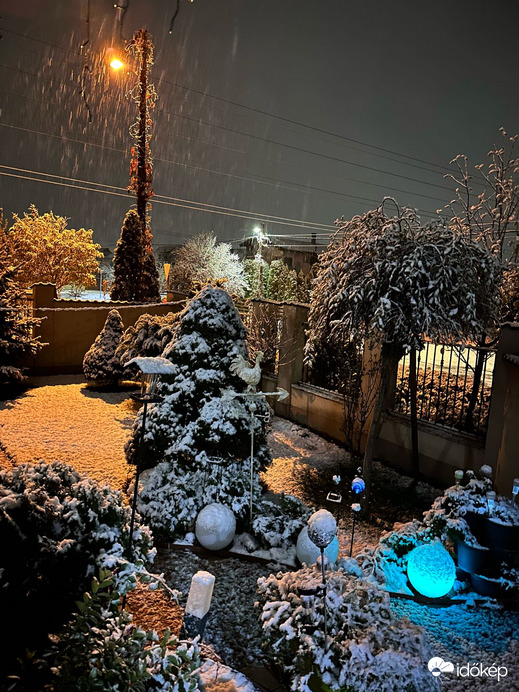 Észlelési fényképek