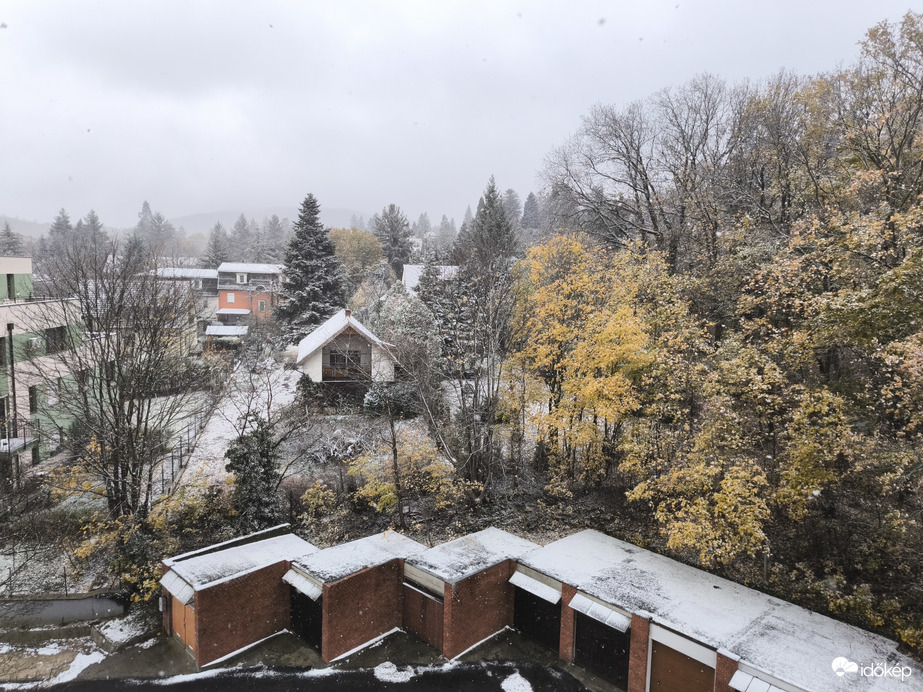 Észlelési fényképek