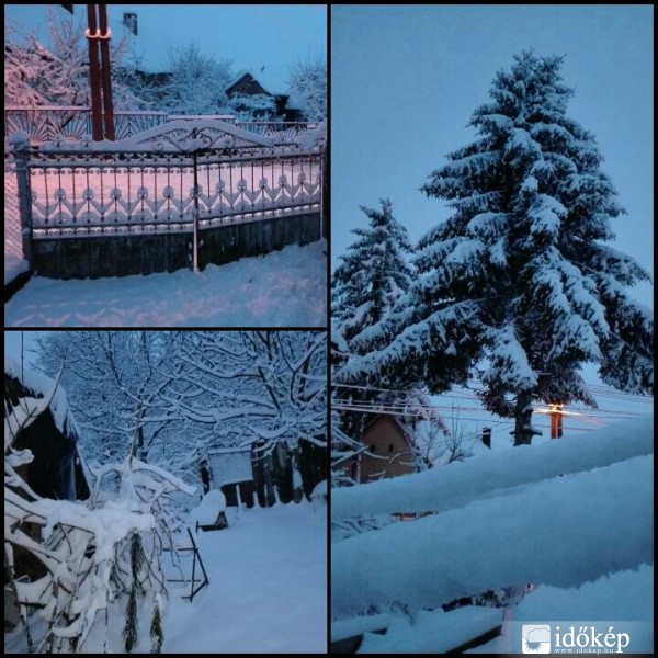 Észlelési fényképek