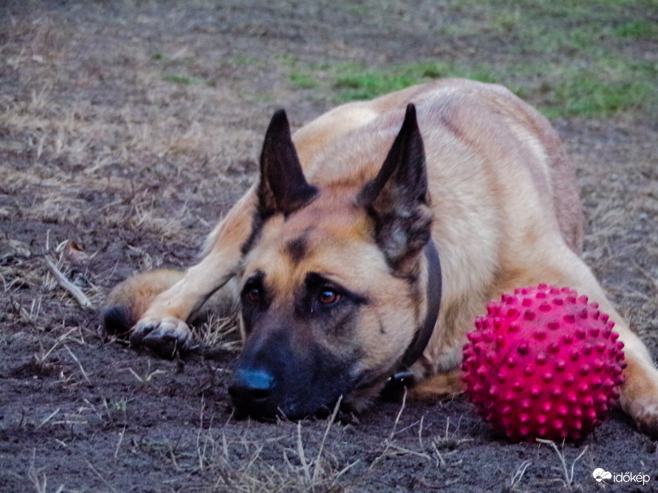 Nagyon szép hétvégét kívánok Mindenkinek! :)