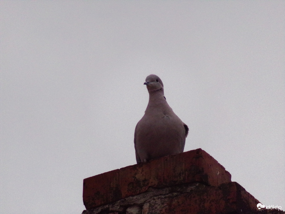 "Talán eső készülődik?"