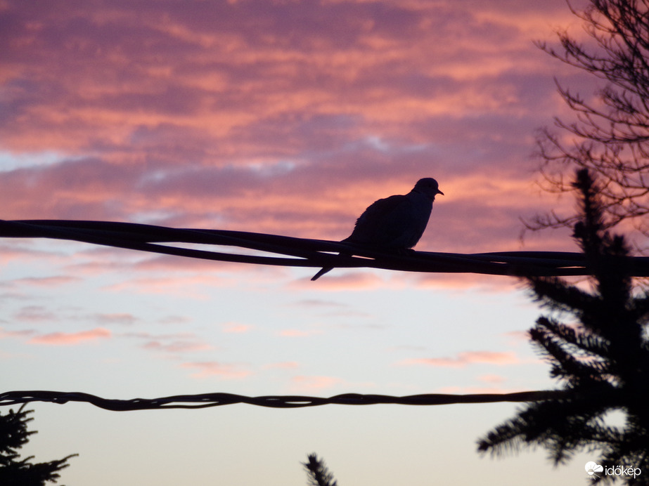 Reggeli pillanatok - 1