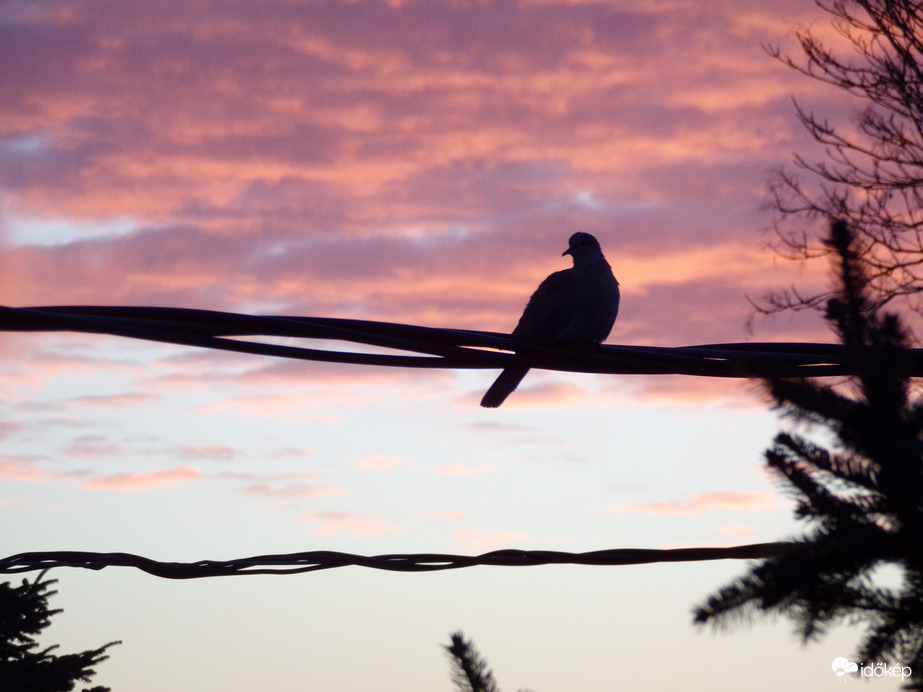 Reggeli pillanatok - 3