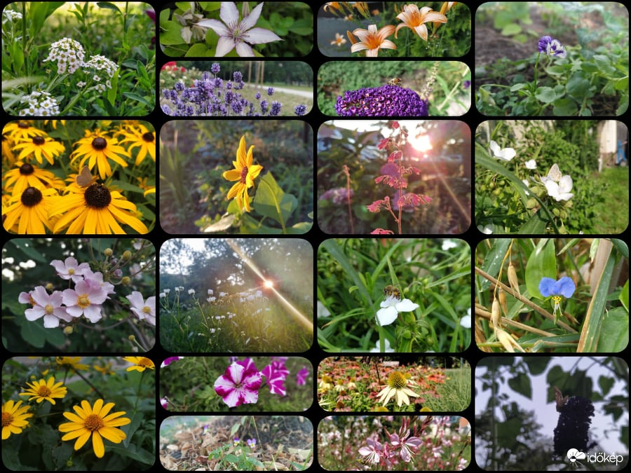 2021 Nyár - Legszebb pillanatok