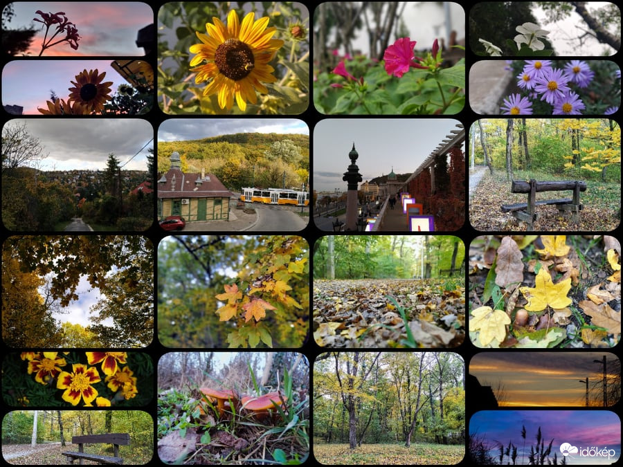 2021 Ősz - Legszebb pillanatok