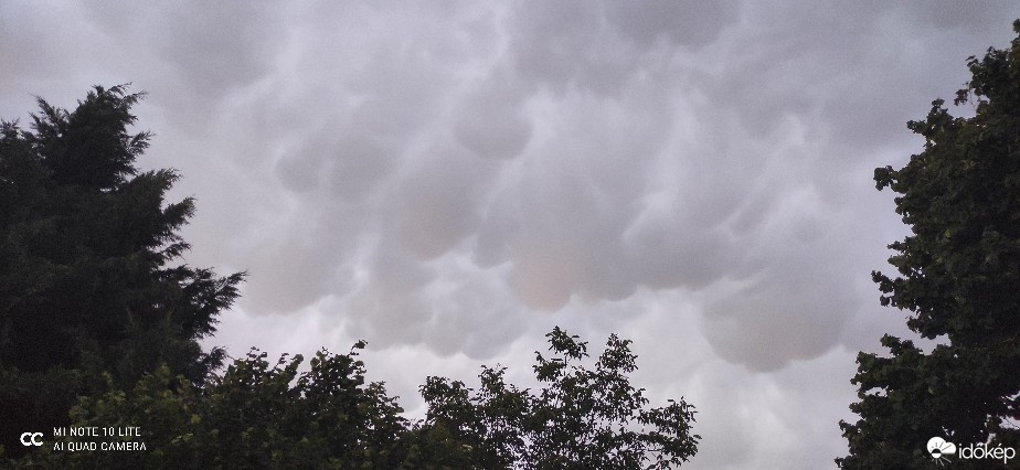 Észlelési fényképek