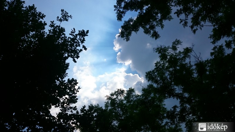 Észlelési fényképek