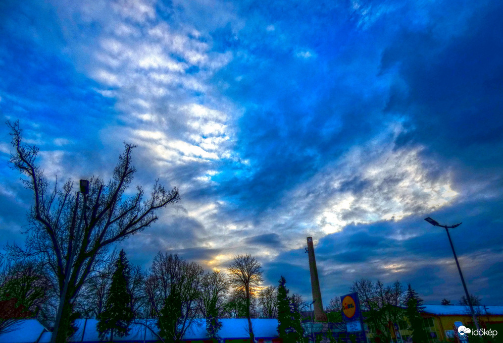 140 éves fák felett