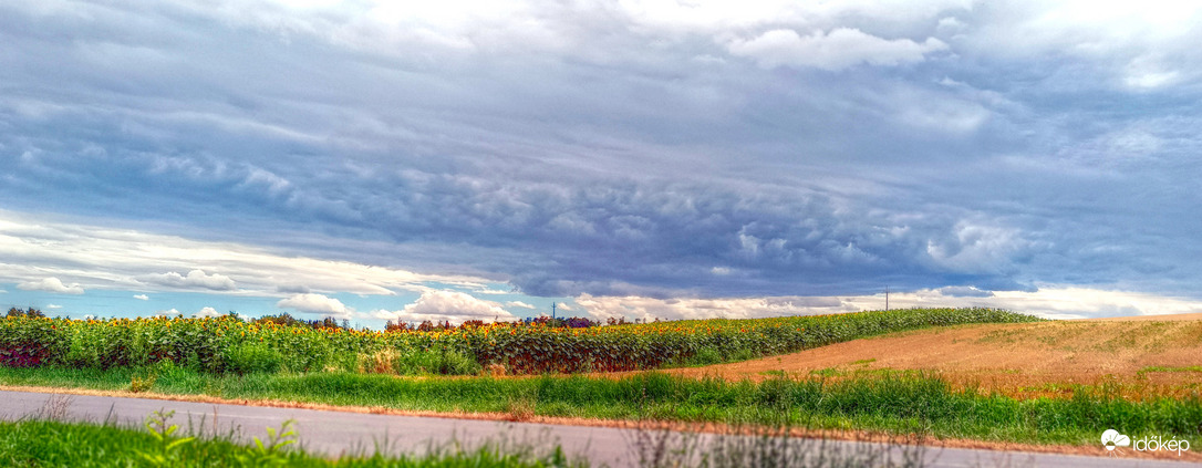 Észlelési fényképek