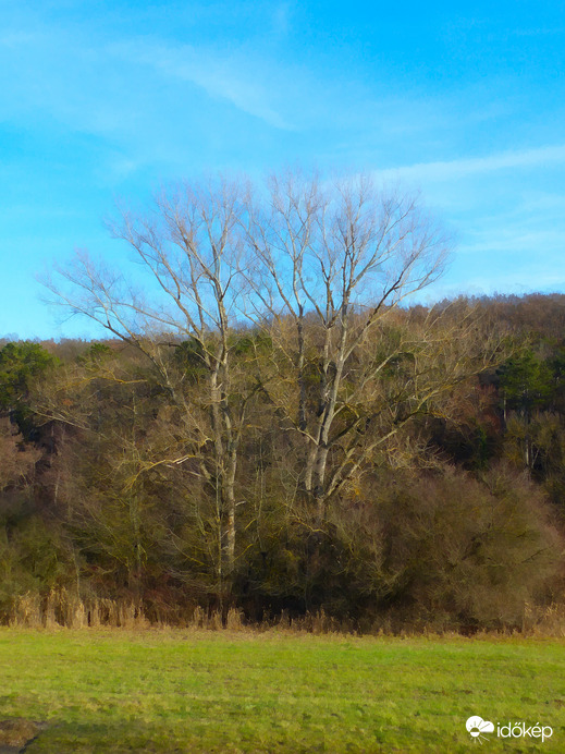 Ikrek a Csalánkertben