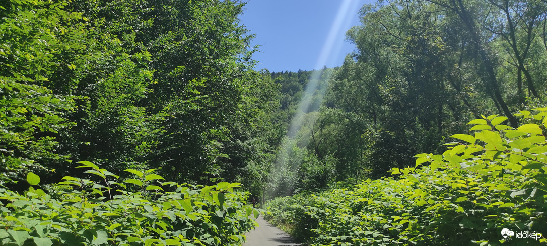 Földönkívüli üzenet