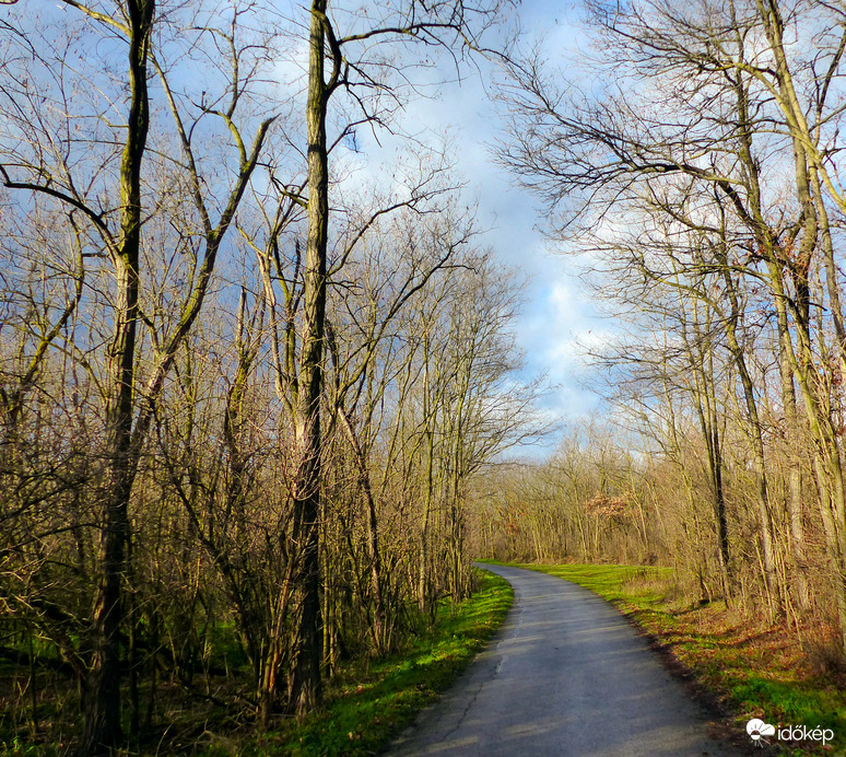 Karácsonyi verőfény