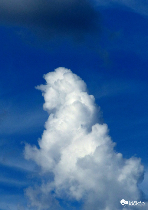 Mátyás karikatúra