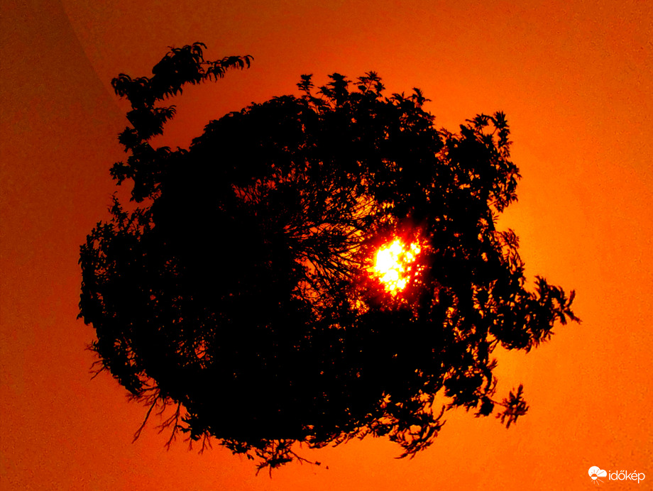 Naplemente fekete csipke fészke