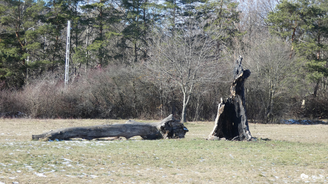 A kígyó és Ádám