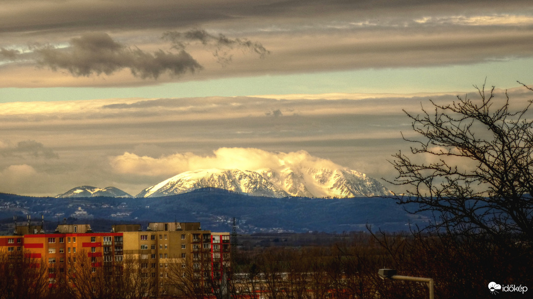 Fehér haját borzolja a szél (Sopron)