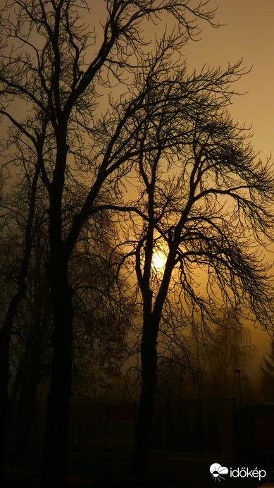 Ködös reggeli hangulat