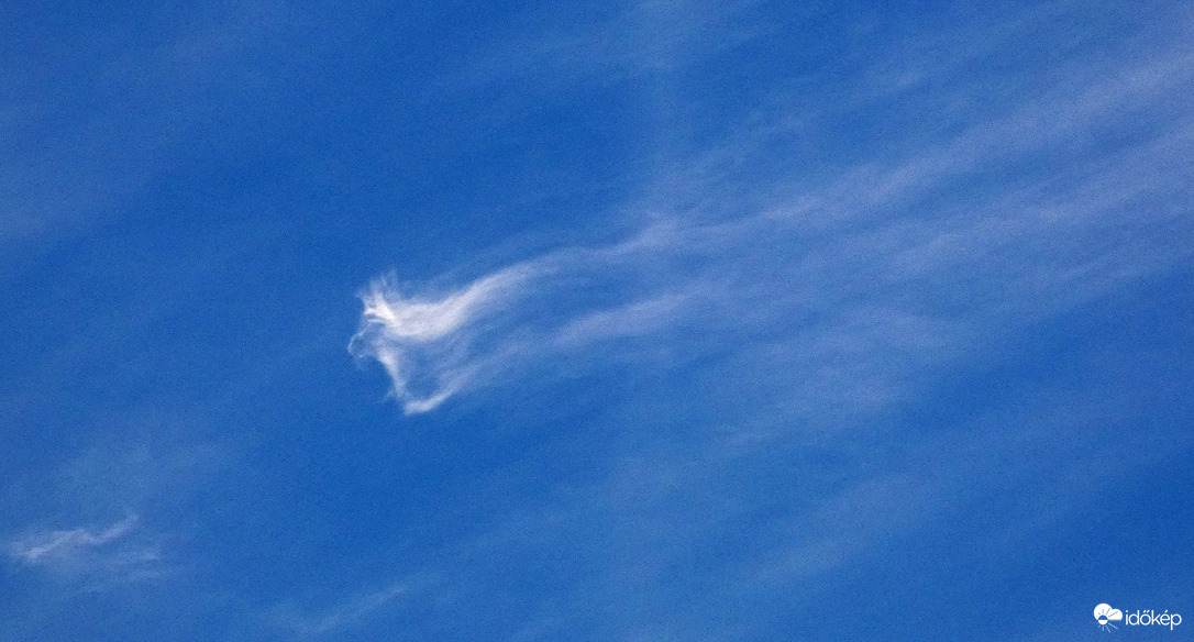 Edward király, fakó - cirrusán