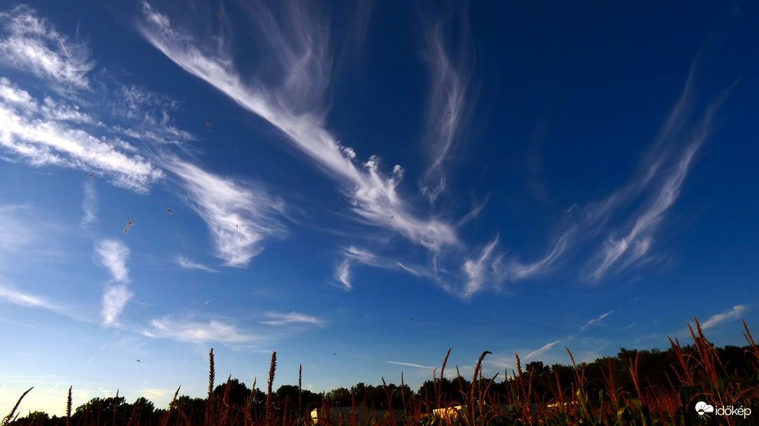 Landoló cirrus