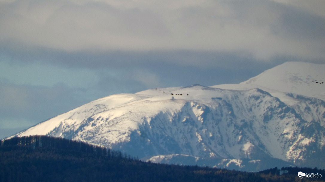 madácsapatok röpte / Sopronból fotózva