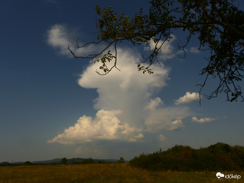 Gyülekező