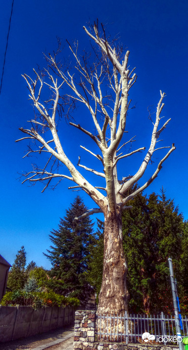 Meztelenül - tavasszal