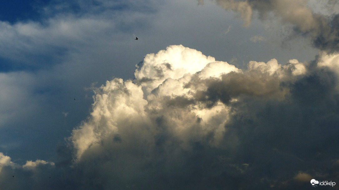 Felhők felett szárnyaló