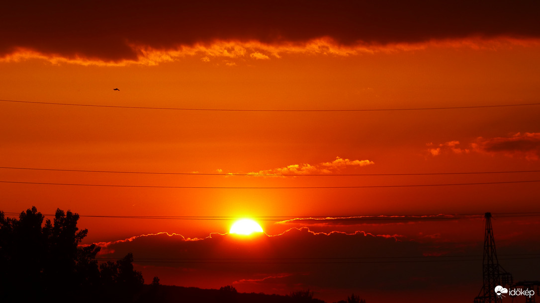 Naplemente madárral