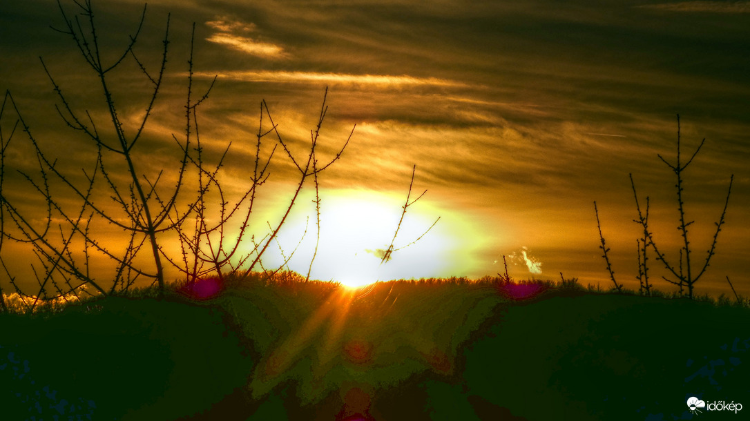 Naplemente az erdő felett