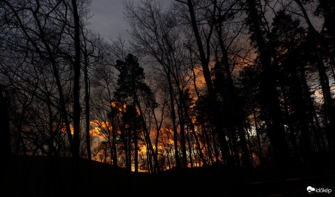 Naplemente az erdőben