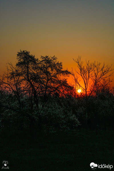 Gyomaendrőd