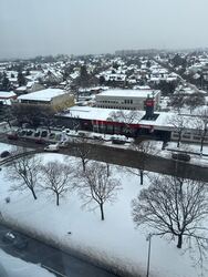 Budapest XV.ker - Pestújhely