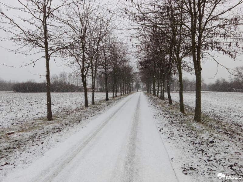 Észlelési fényképek