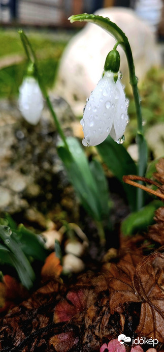 Budapest XXI.ker - Csepel