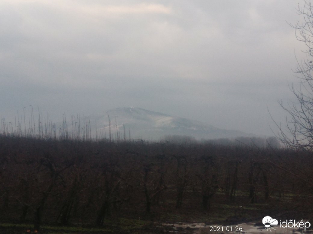 Észlelési fényképek