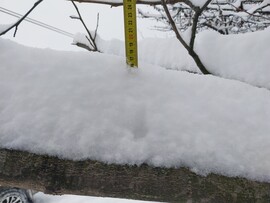 Budapest XVII.ker - Rákosliget