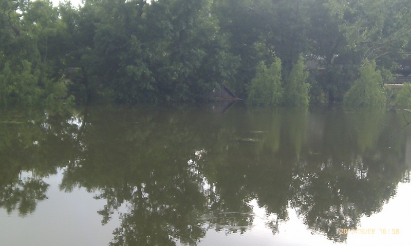 Hosszúréti-patak - Duna ártér