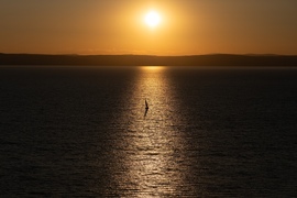 Balatonaliga Magaspart naplemente