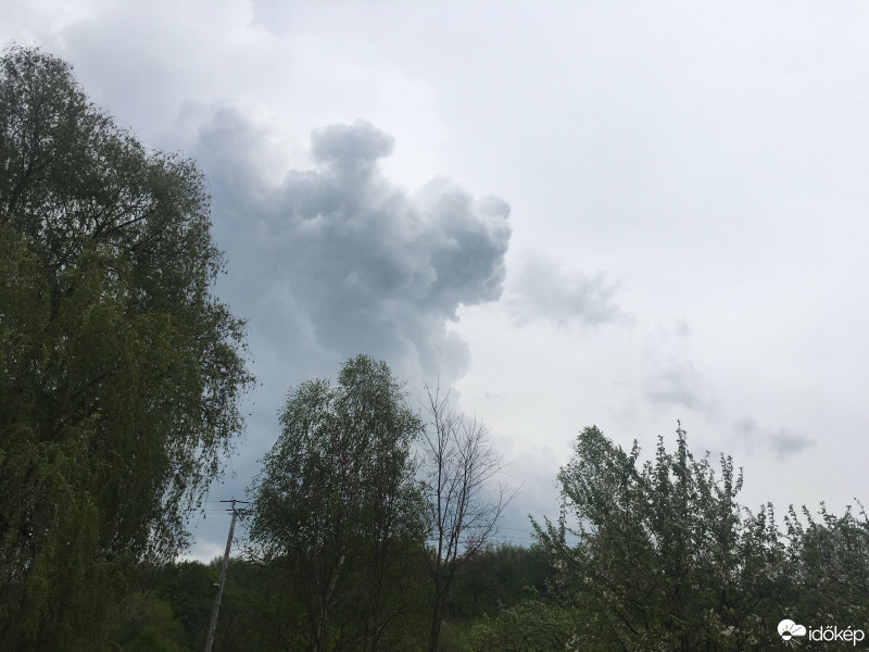 Észlelési fényképek