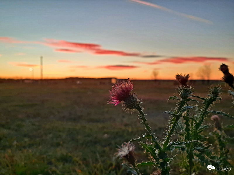 Őszi naplemente. 