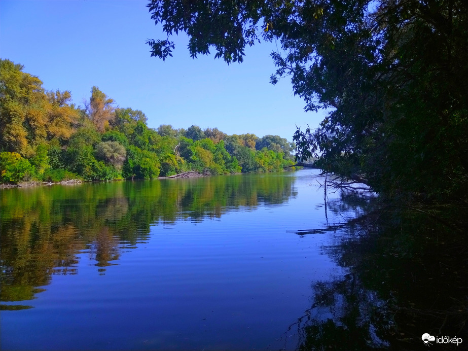 Tisza holtág (Kubik)