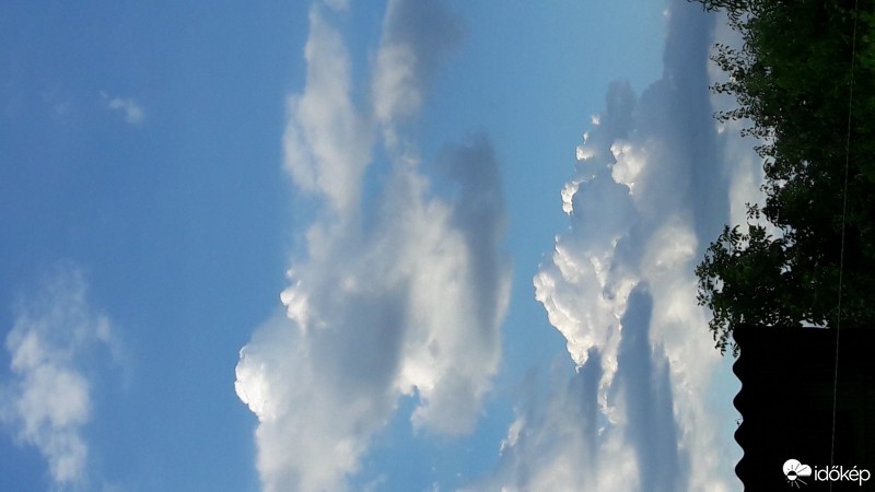 Észlelési fényképek