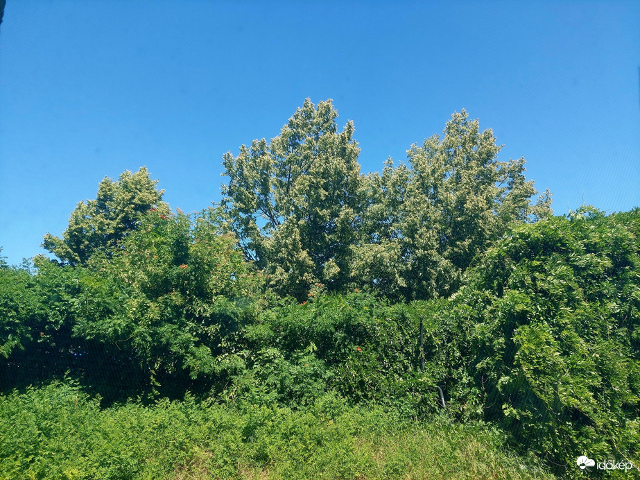 Vác