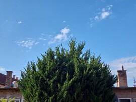 Vác