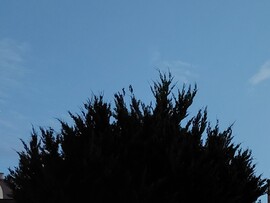 Vác